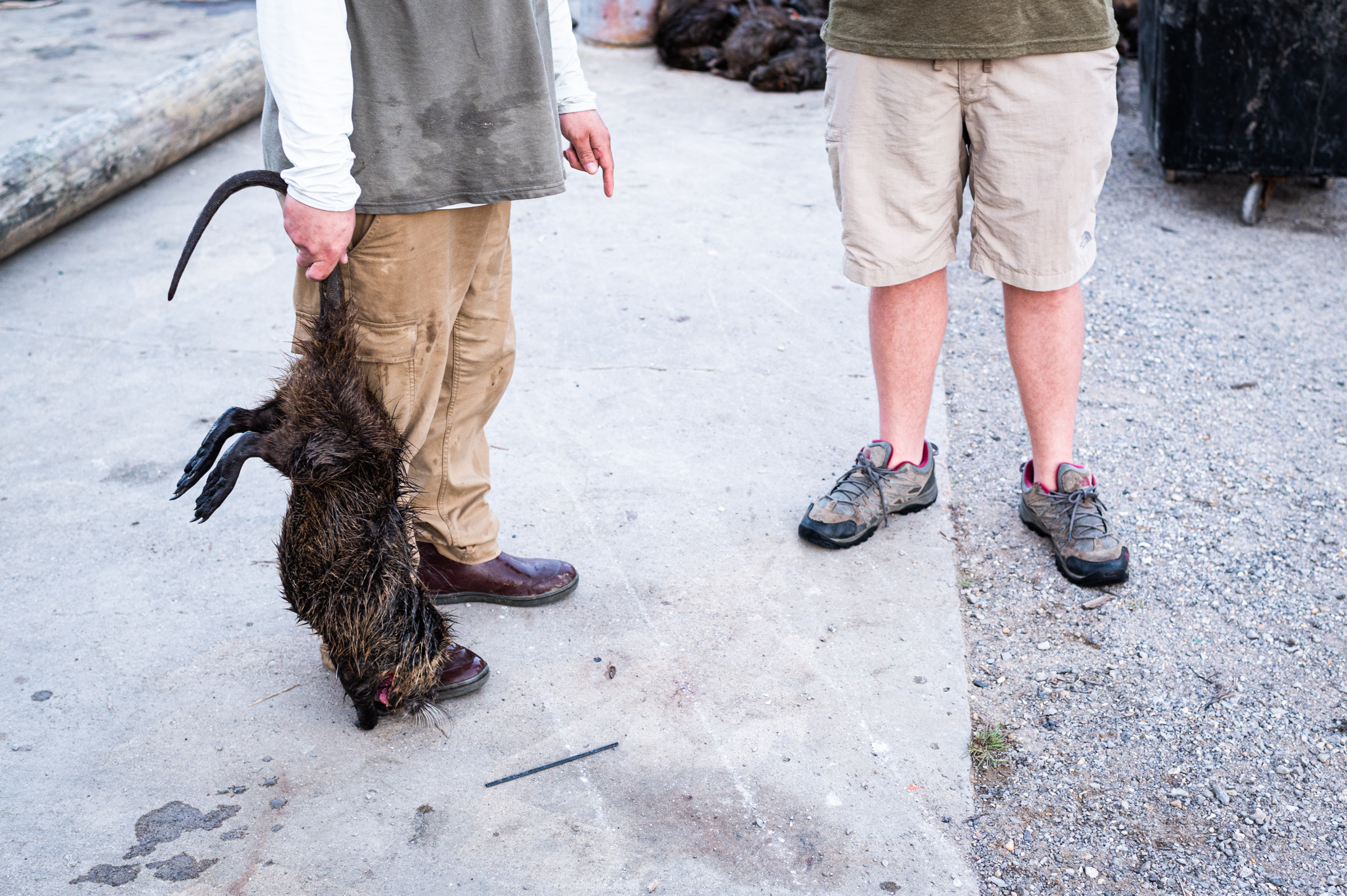 Contestants in the Nutria Rodeo chat while holding one of the rodents by the tail