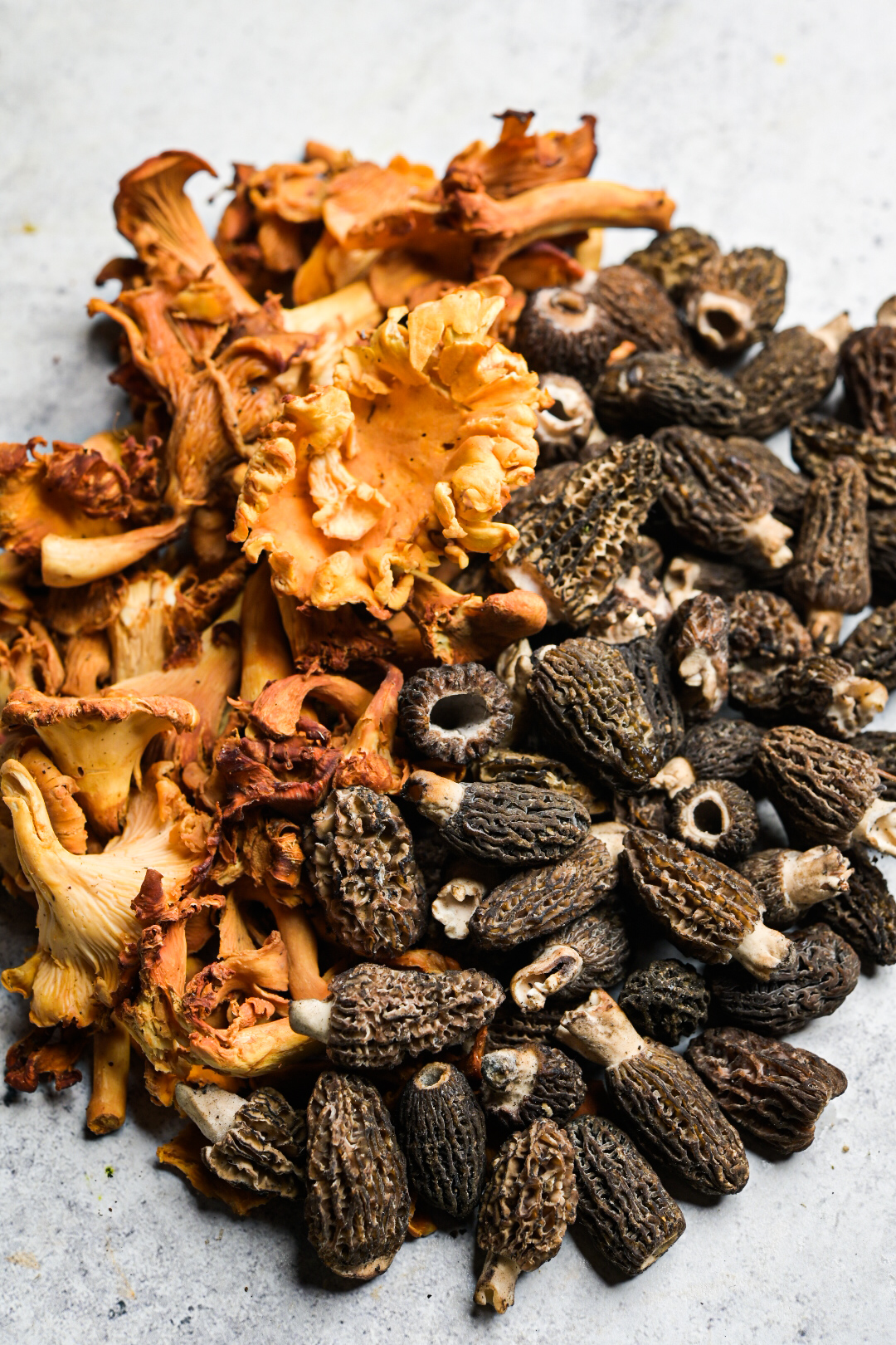 Foraged chanterelle and morel mushrooms