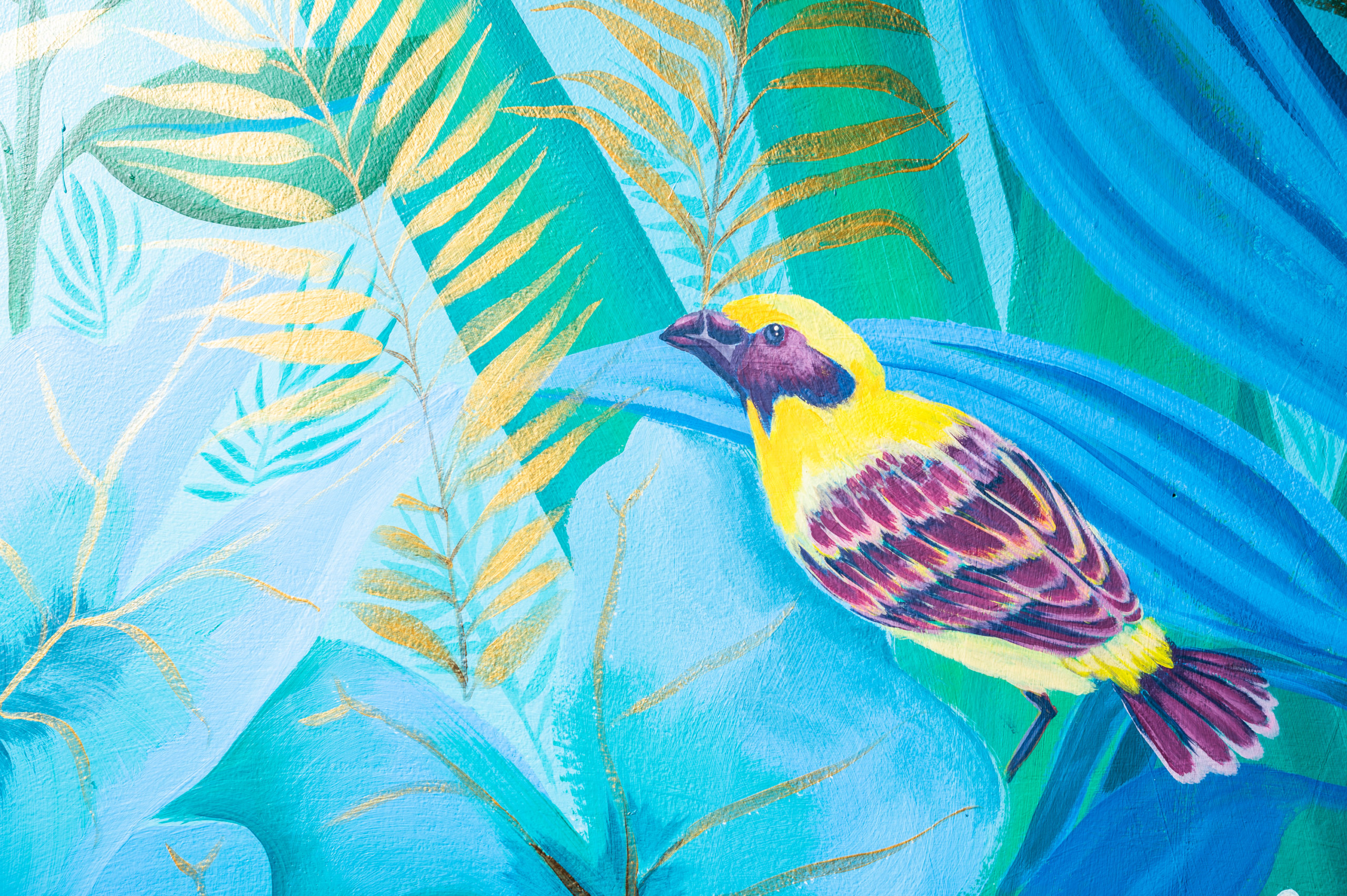 Details of a yellow and purple bird