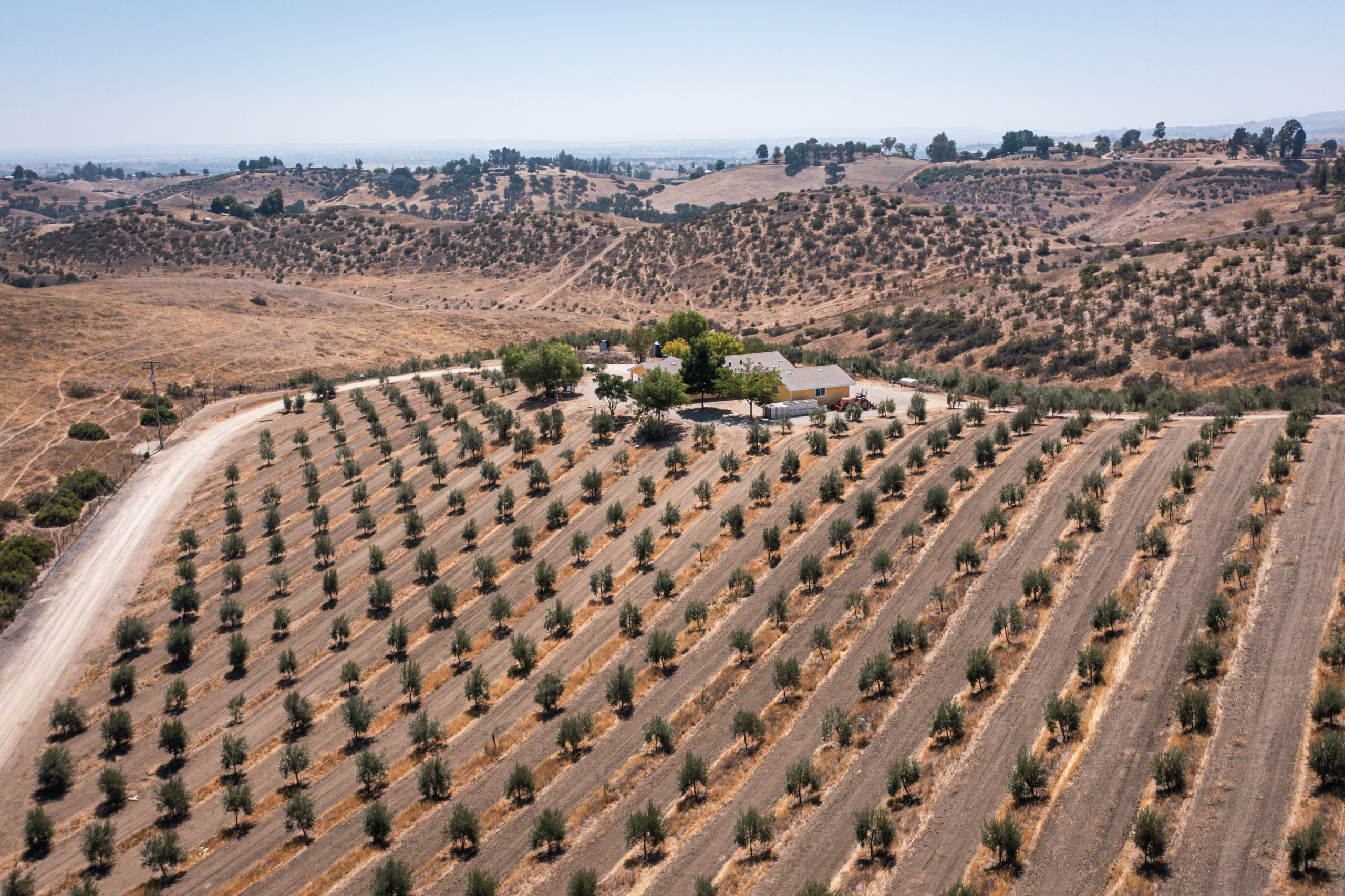 An aerial view of San Miguel Olive Farm