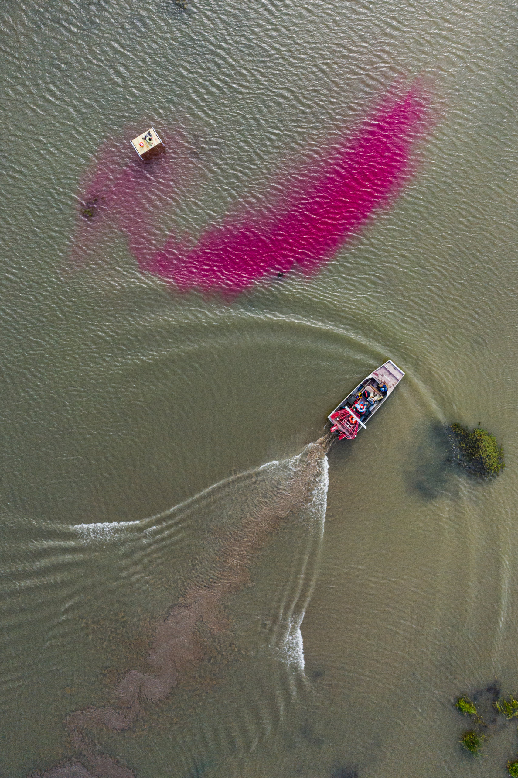 An airboat approaches a dye injection in Bay Denesse
