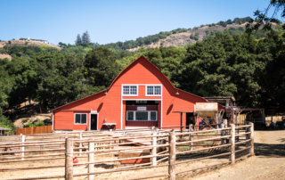 View of goat pens in front of the barn at Stepladder Ranch & Creamery