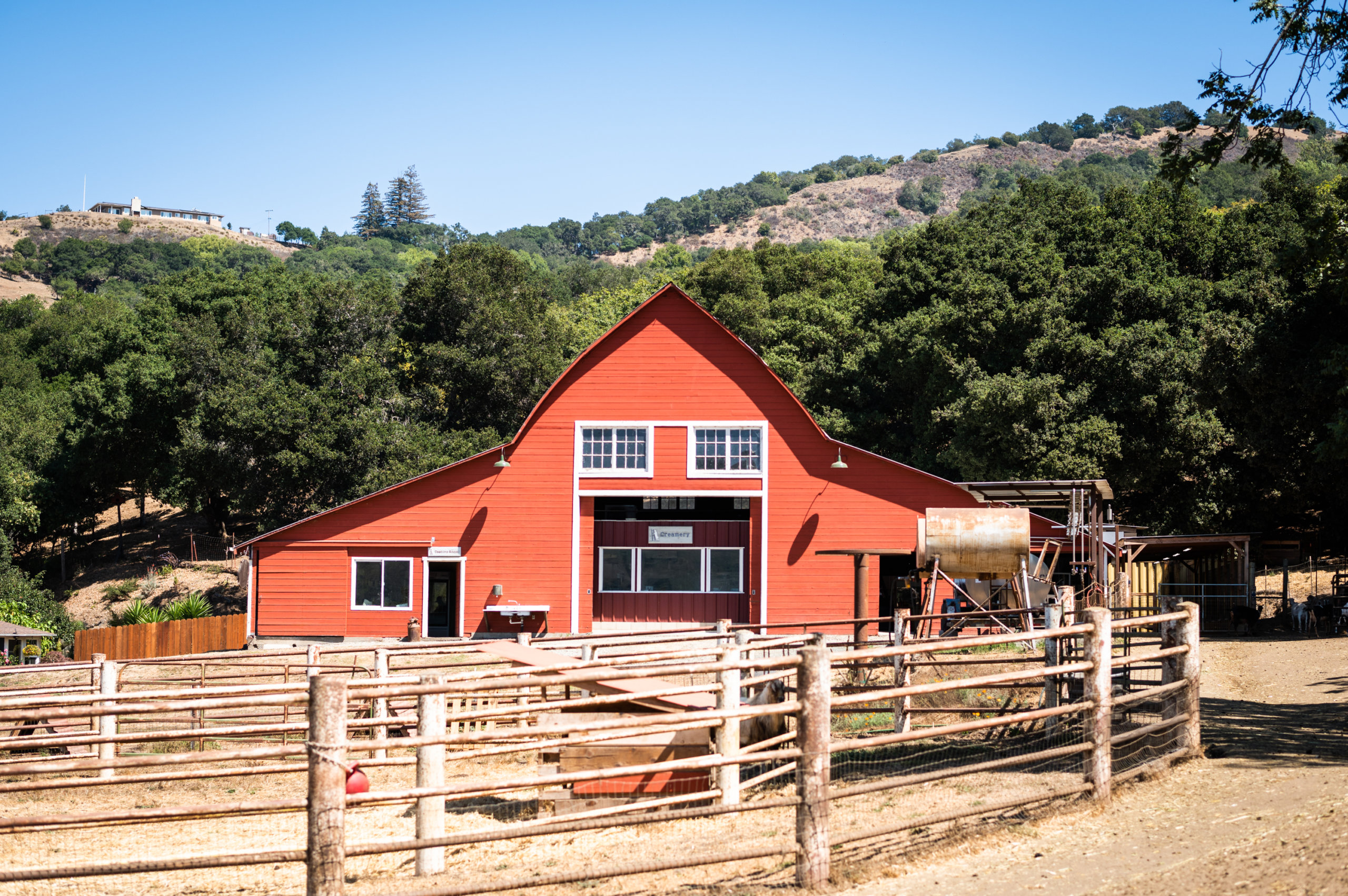 View of goat pens in front of the barn at Stepladder Ranch & Creamery