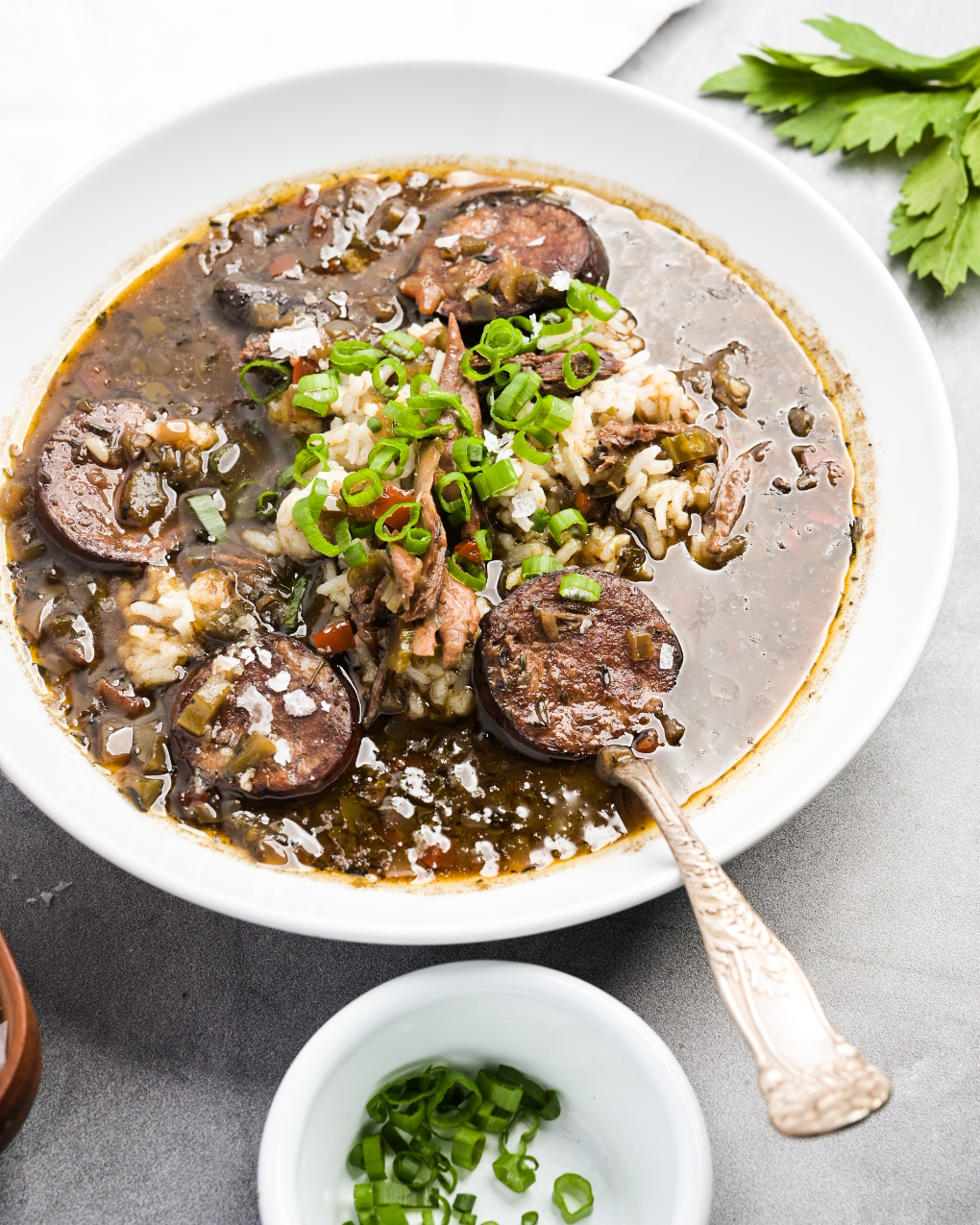 A bowl of wild duck and andouille gumbo over rice