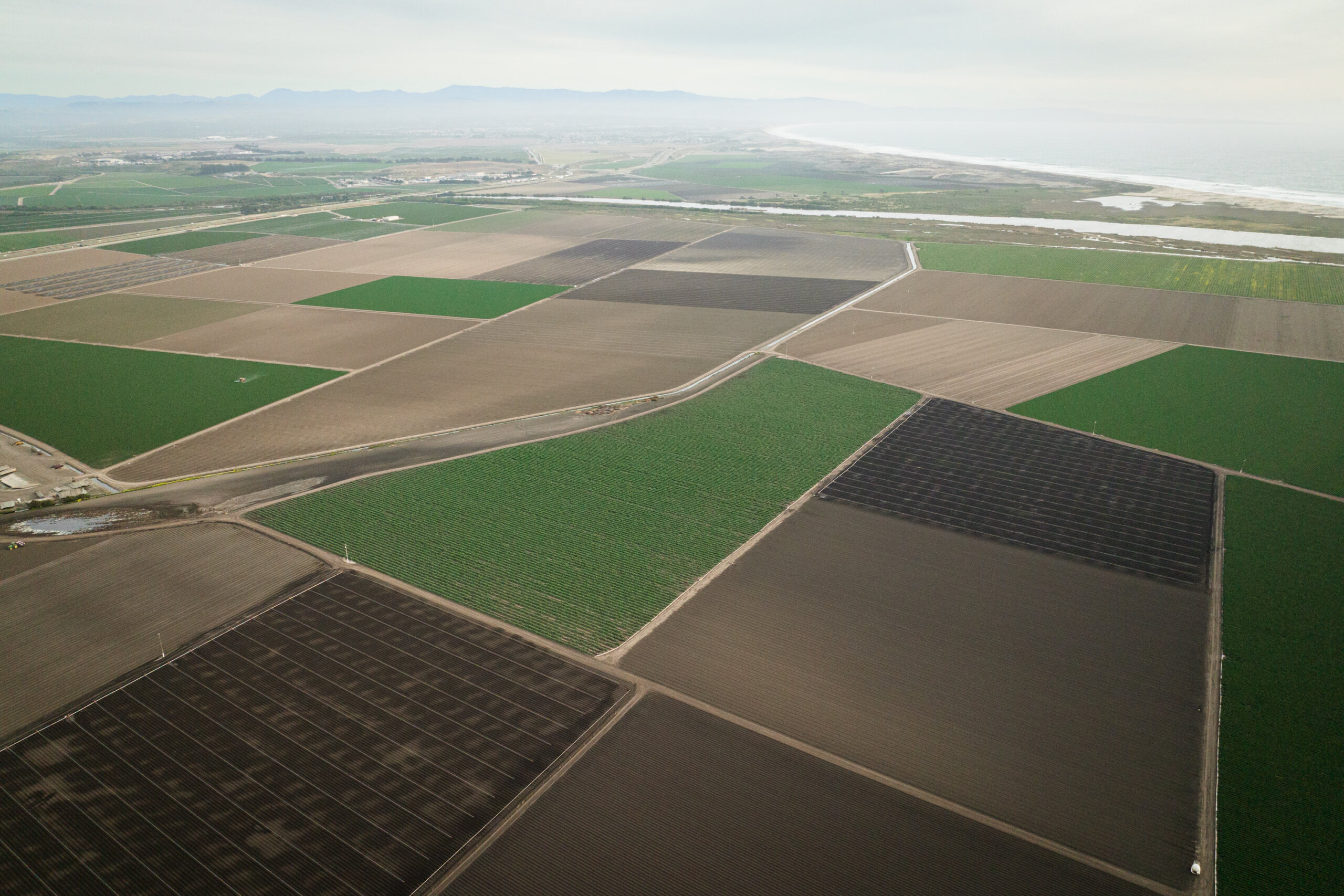 Aerial perspective of artichoke lining the California coast
