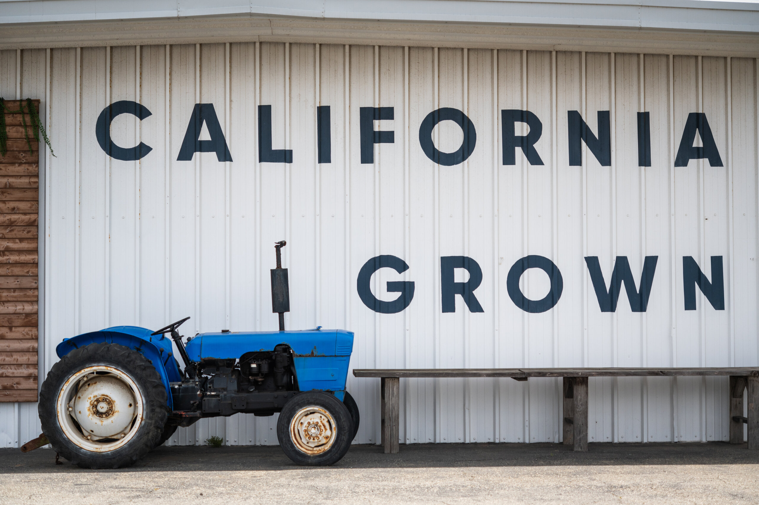 "California Grown" painted on the side of Pezzini Farms market in Castroville