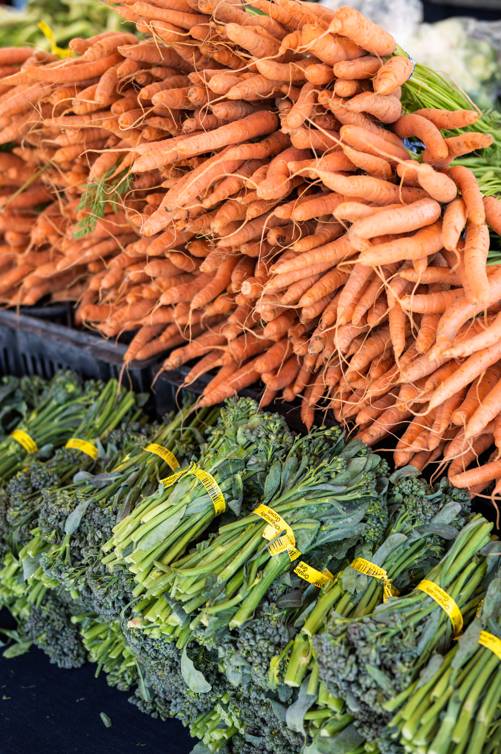 Farm-fresh carrots and broccoli rabe