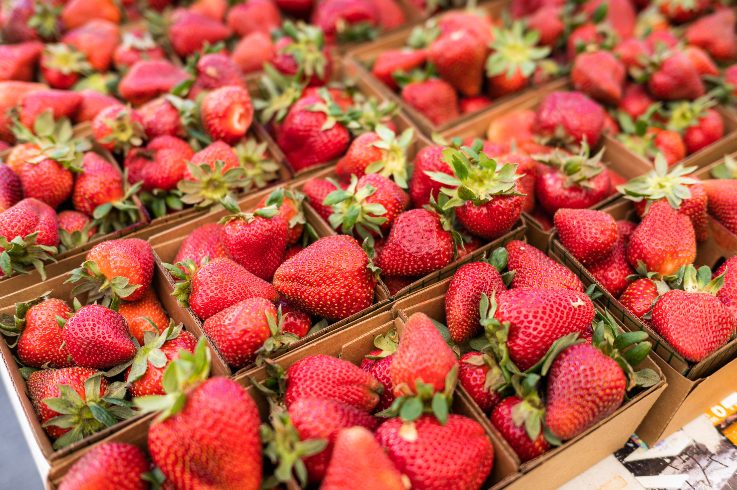 Strawberries for sale at the Felton Farmers Market