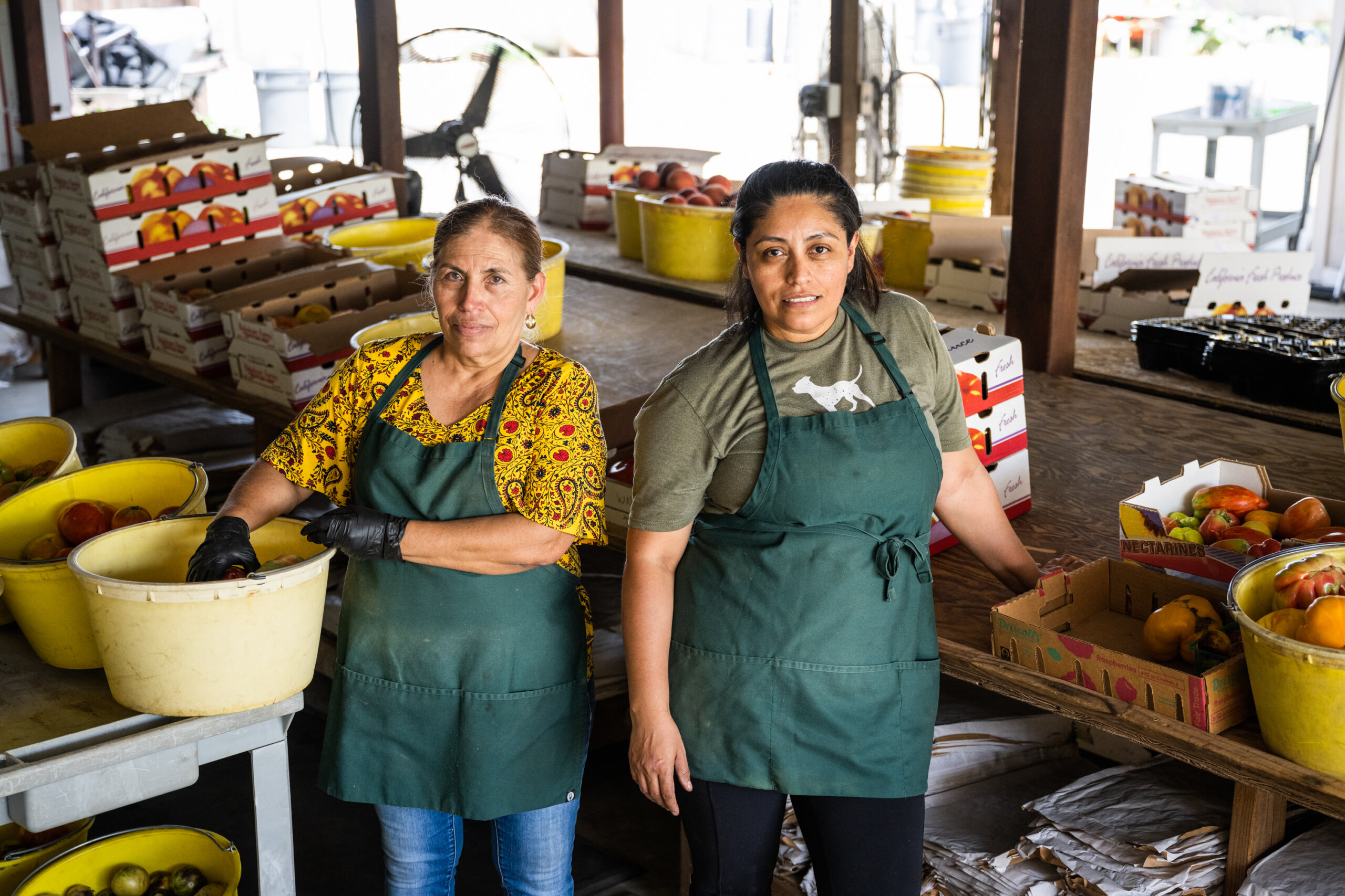 A mother and daughter team working in Balakian's processing shed