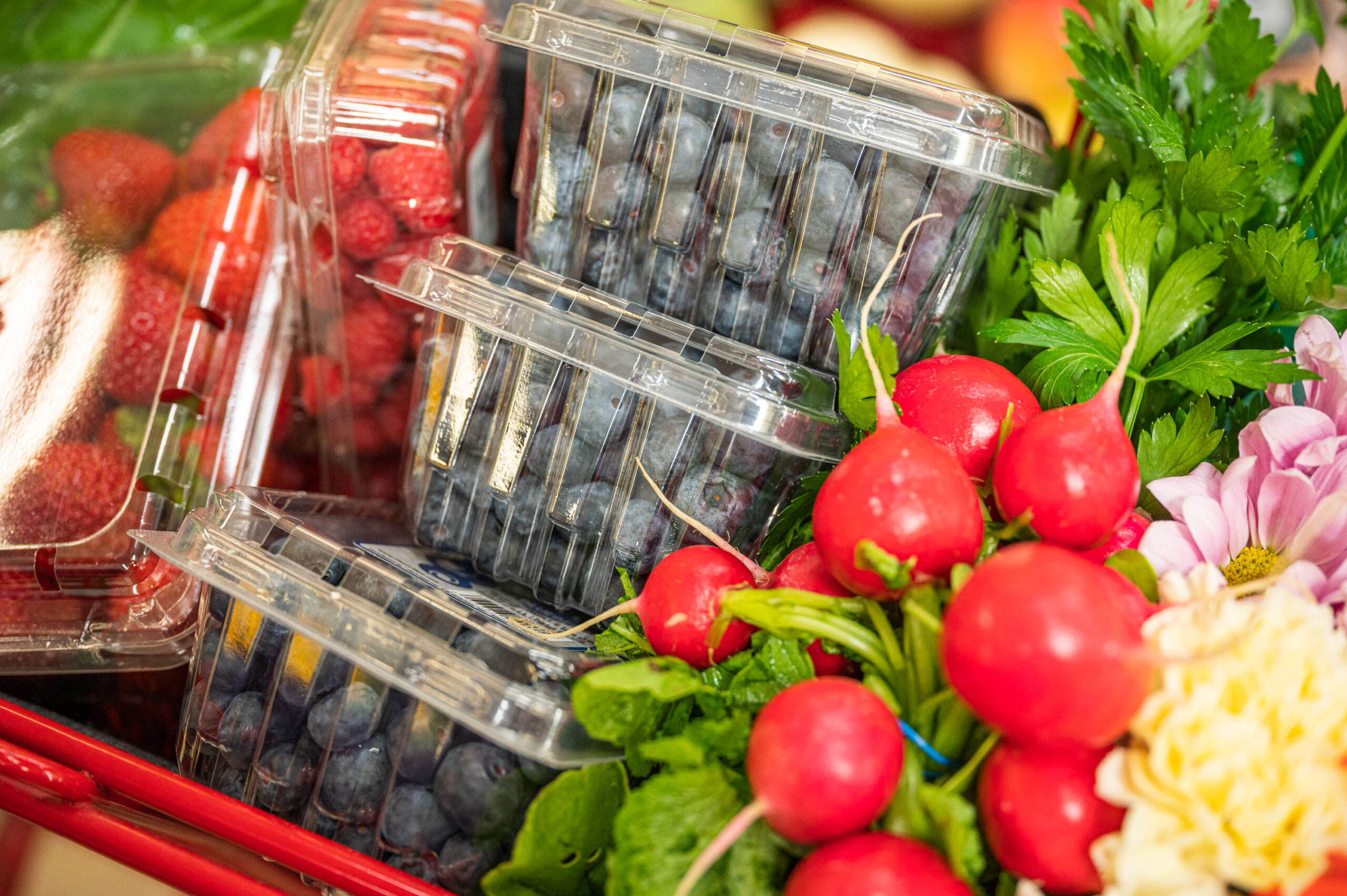 Fresh blueberries and radishes in a shopping cart