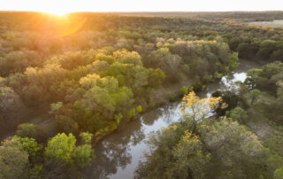 Sunrise over pecan trees at the headwaters of the San Saba River