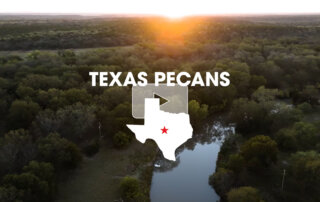 Video cover showing the birthplace of the commercial pecan industry along the San Saba River in Texas