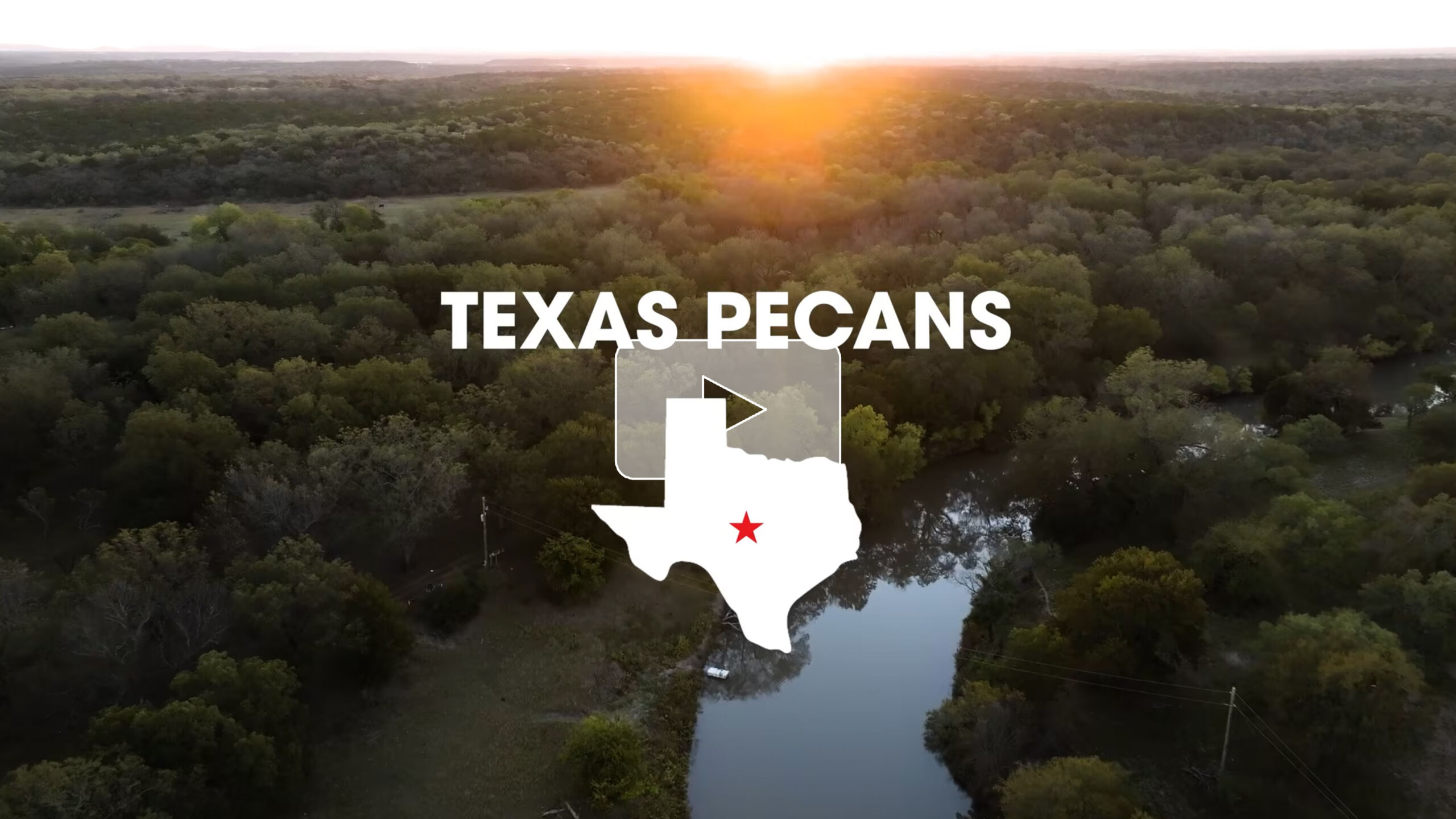 Video cover showing the birthplace of the commercial pecan industry along the San Saba River in Texas