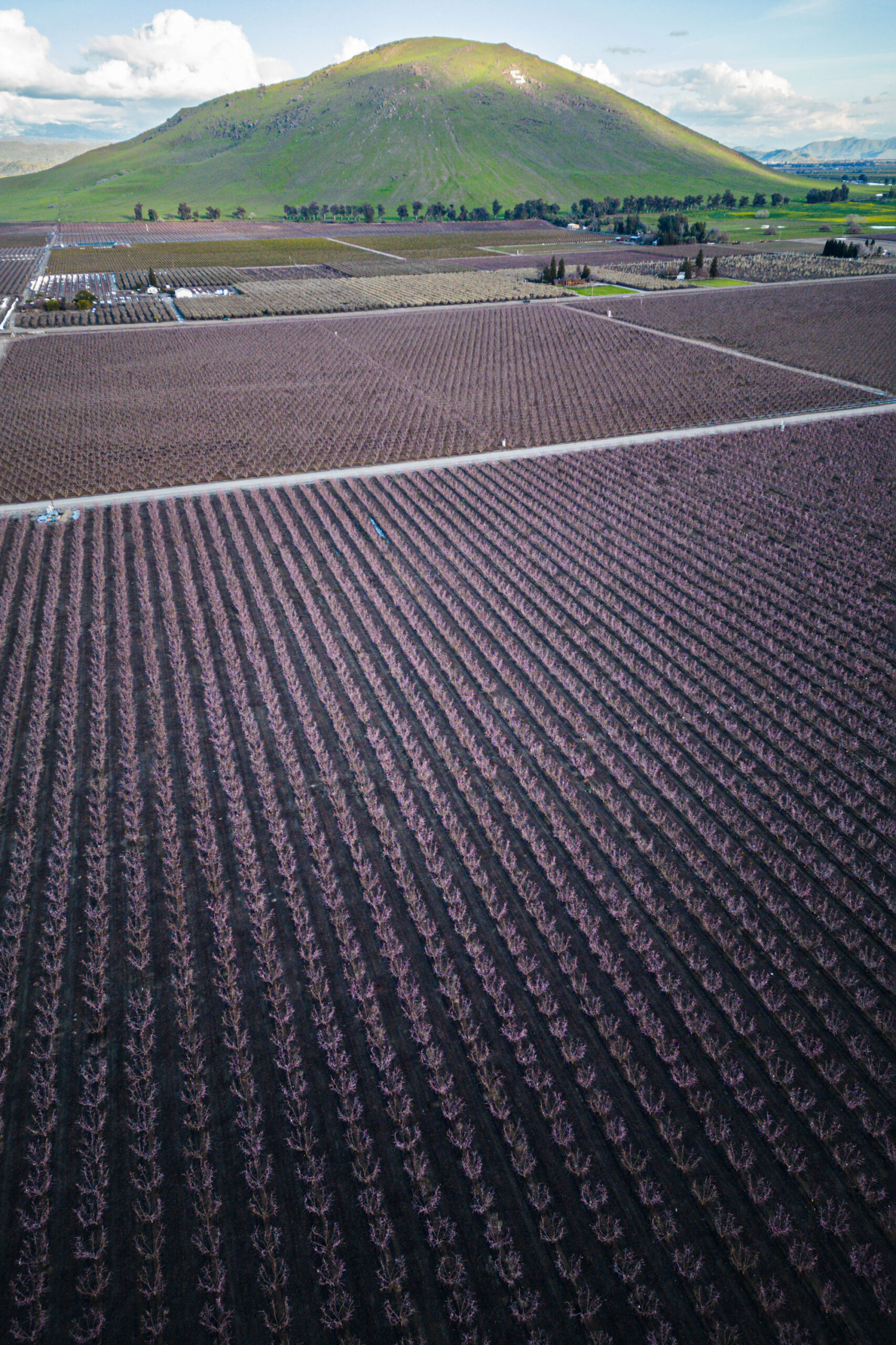 Aerial view of the Sanger hillside above a stone fruit orchard