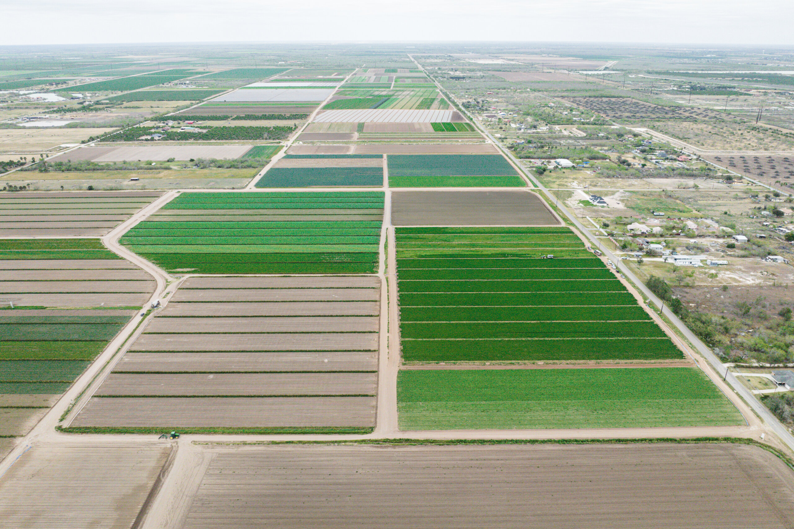 An aerial survey of row crops in south Texas
