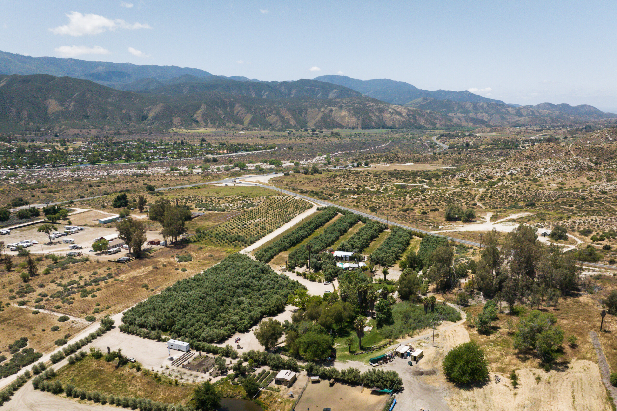 Aerial view of Temecula Olive Oil Company's entire property