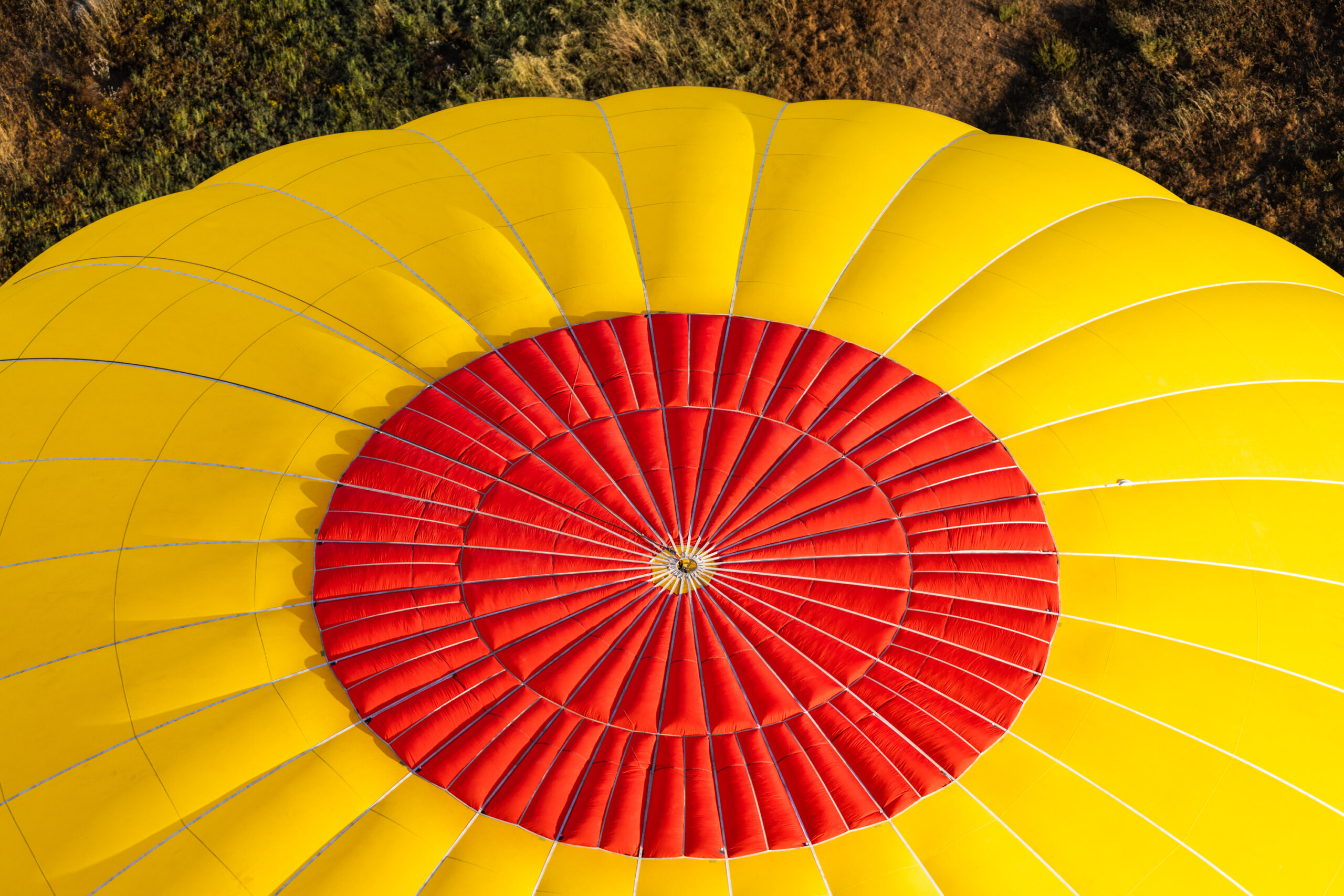 View of the top of another balloon as we pass overhead