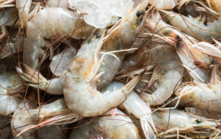 Fresh 16-20 count gulf shrimp on ice