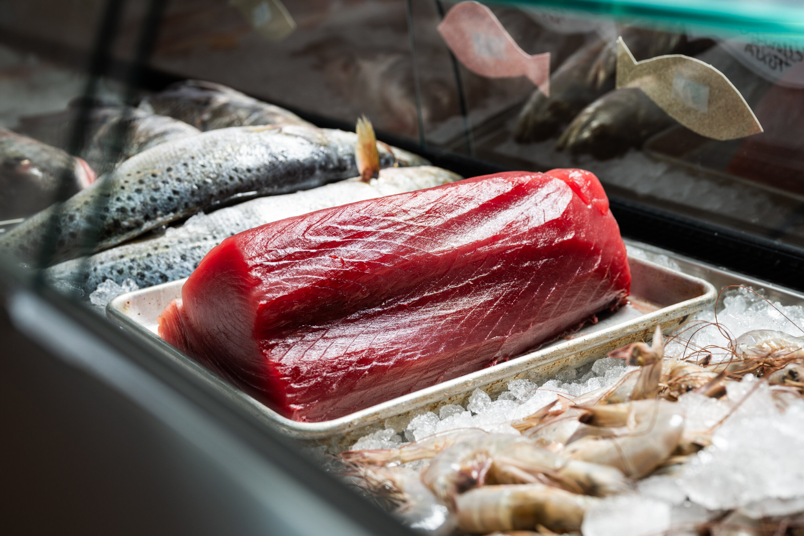 Gulf-caught yellowfin tuna on display