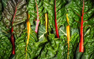 A top-down portrait of rainbow chart and collards from Vessey Farms in Southern California