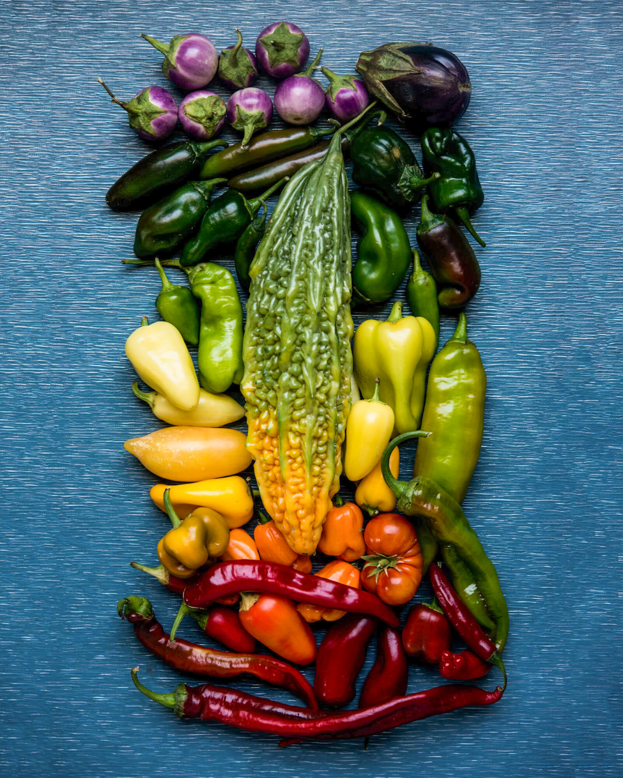 Assorted colorful vegetables including peppers, tomatoes, and eggplants arranged on a blue surface.