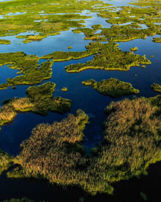 Islands of marsh grass woven throughout brackish waters near Port Sulphur, Louisiana