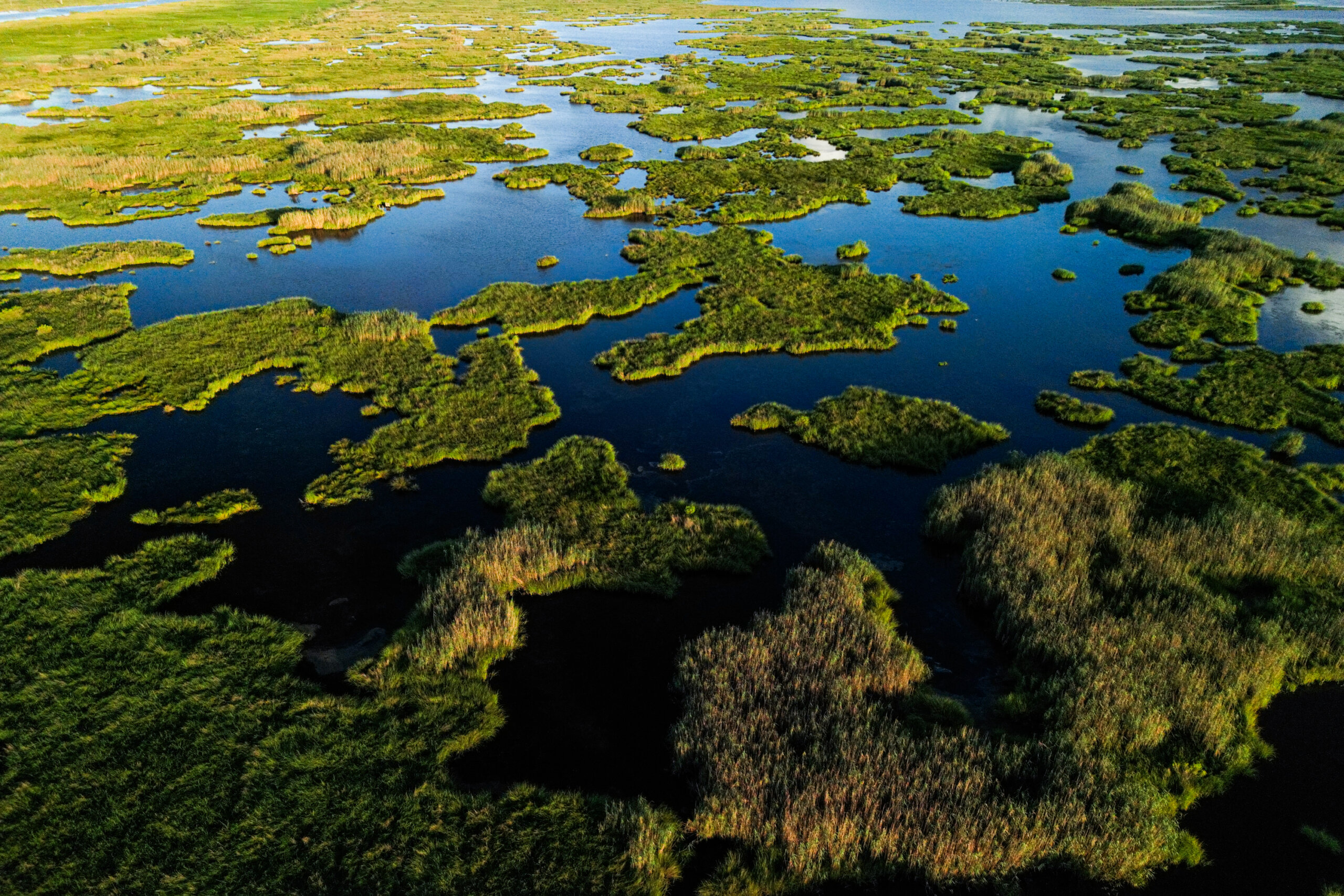 Scattered marsh along a stretch of a former bayou leading to Lake Hermitage