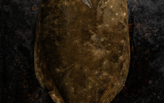 A whole flounder fish displayed on a dark, textured surface. The fish has a flat, oval shape and mottled brown coloring.