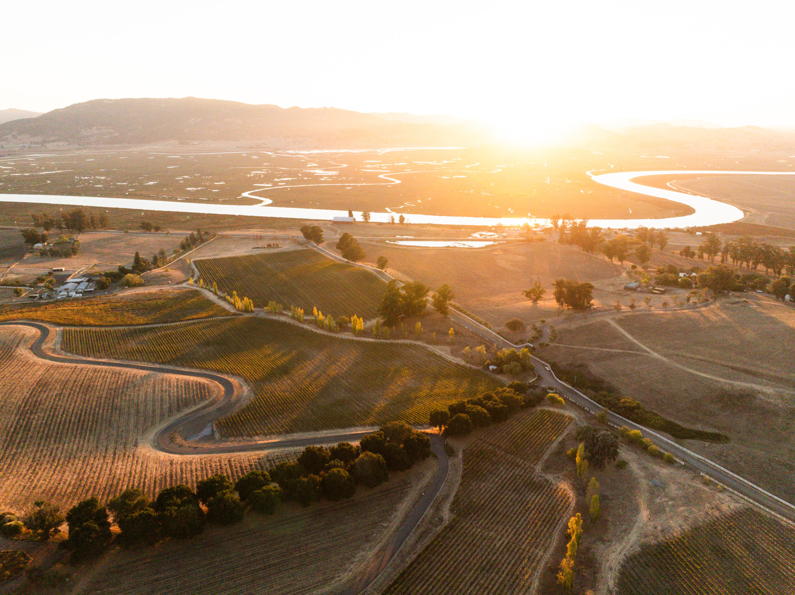 Aerial view of sunset over Keller Estate Winery