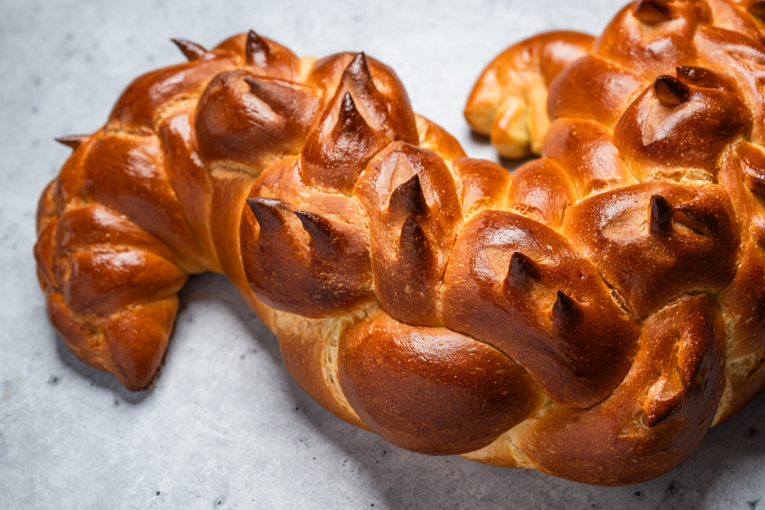 Details of a challahgator tail