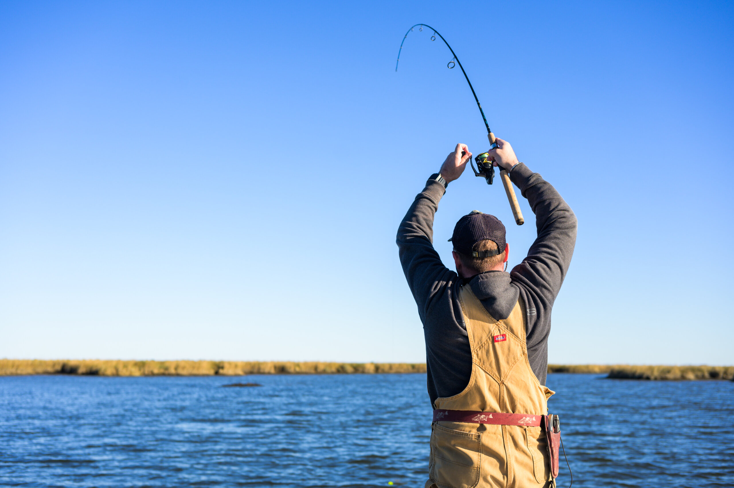 A fisherman holds his rod high to reel in a fish in the shallow marsh