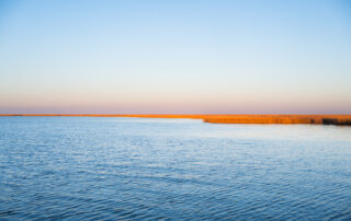 Water and sky separated by golden marsh grass in Stump Lagoon, just east of Hopedale, Louisiana