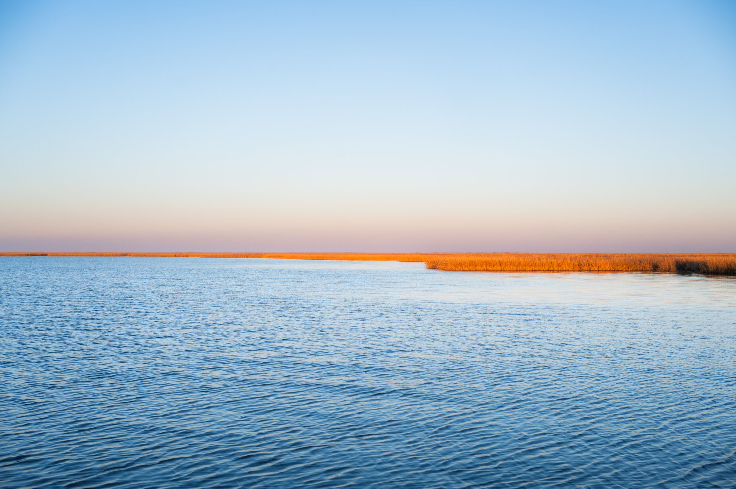 Water and sky separated by golden marsh grass in Stump Lagoon, just east of Hopedale, Louisiana