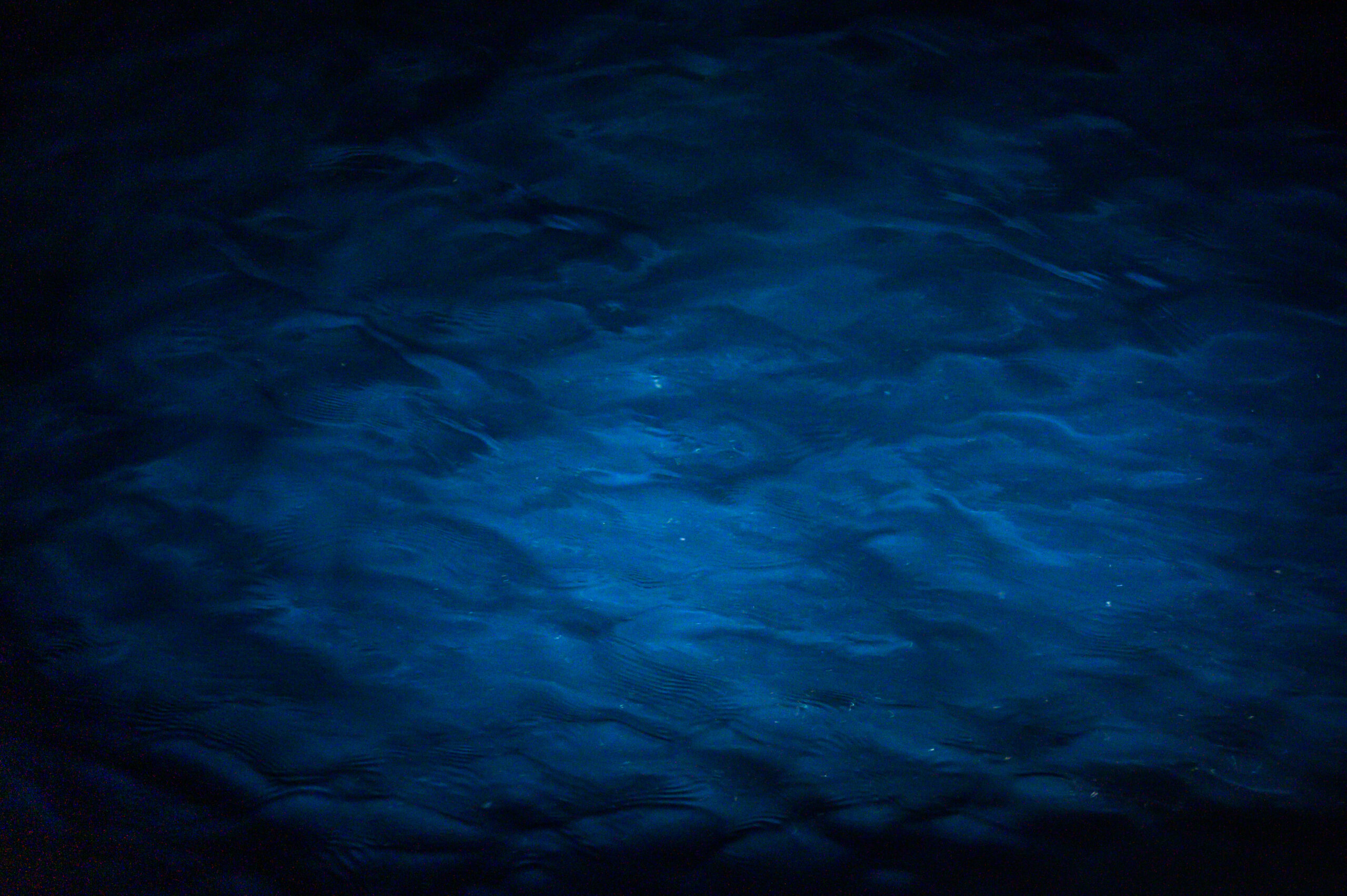 Dark blue gulf water with gentle ripples, illuminated by a light source from above.