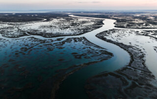 Aerial view of winding river channels flowing through a vast, marshy landscape under a blue sky at dusk.