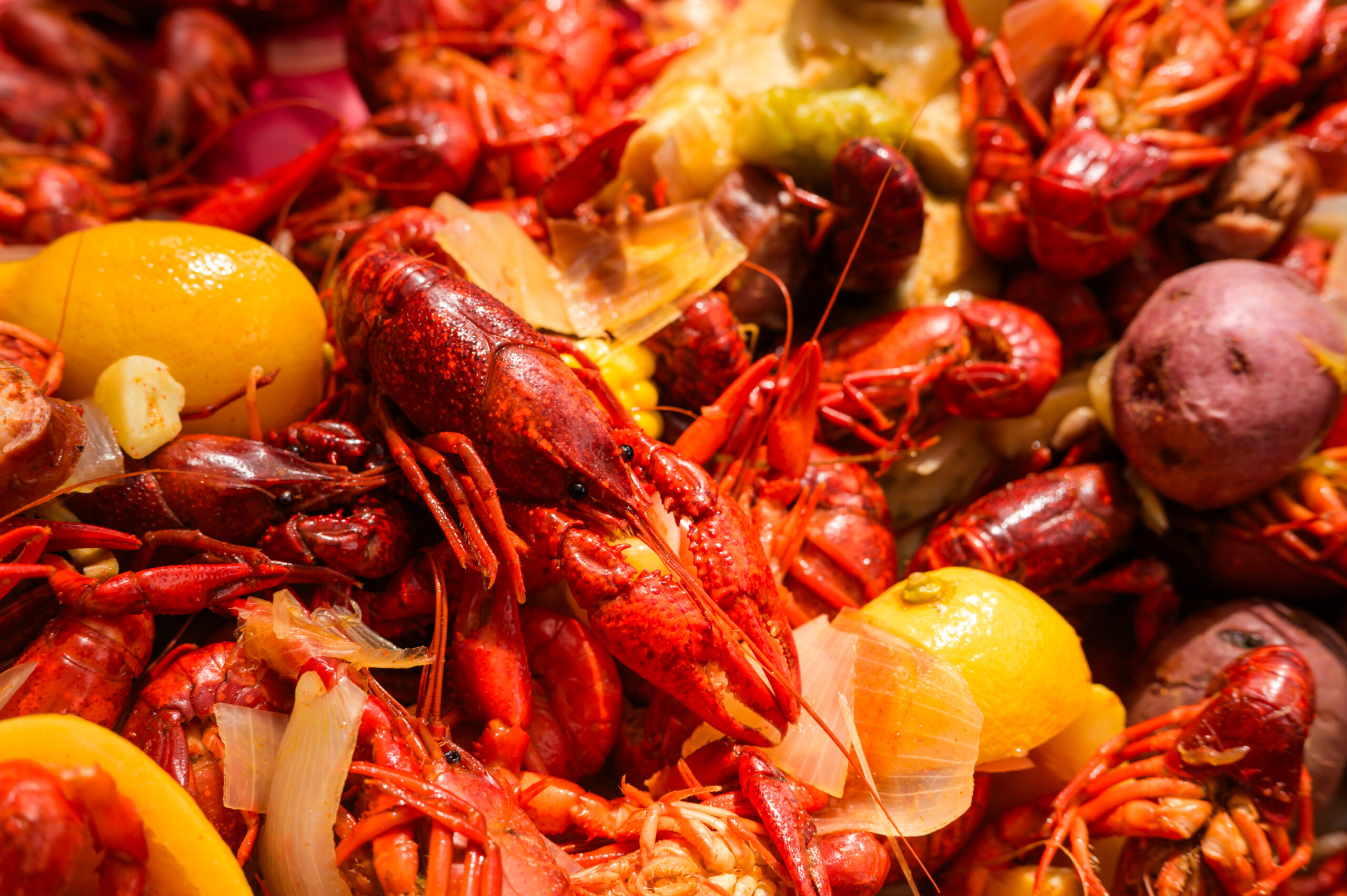 A close-up of a Cajun seafood boil with crawfish, lemons, onions, and potatoes.