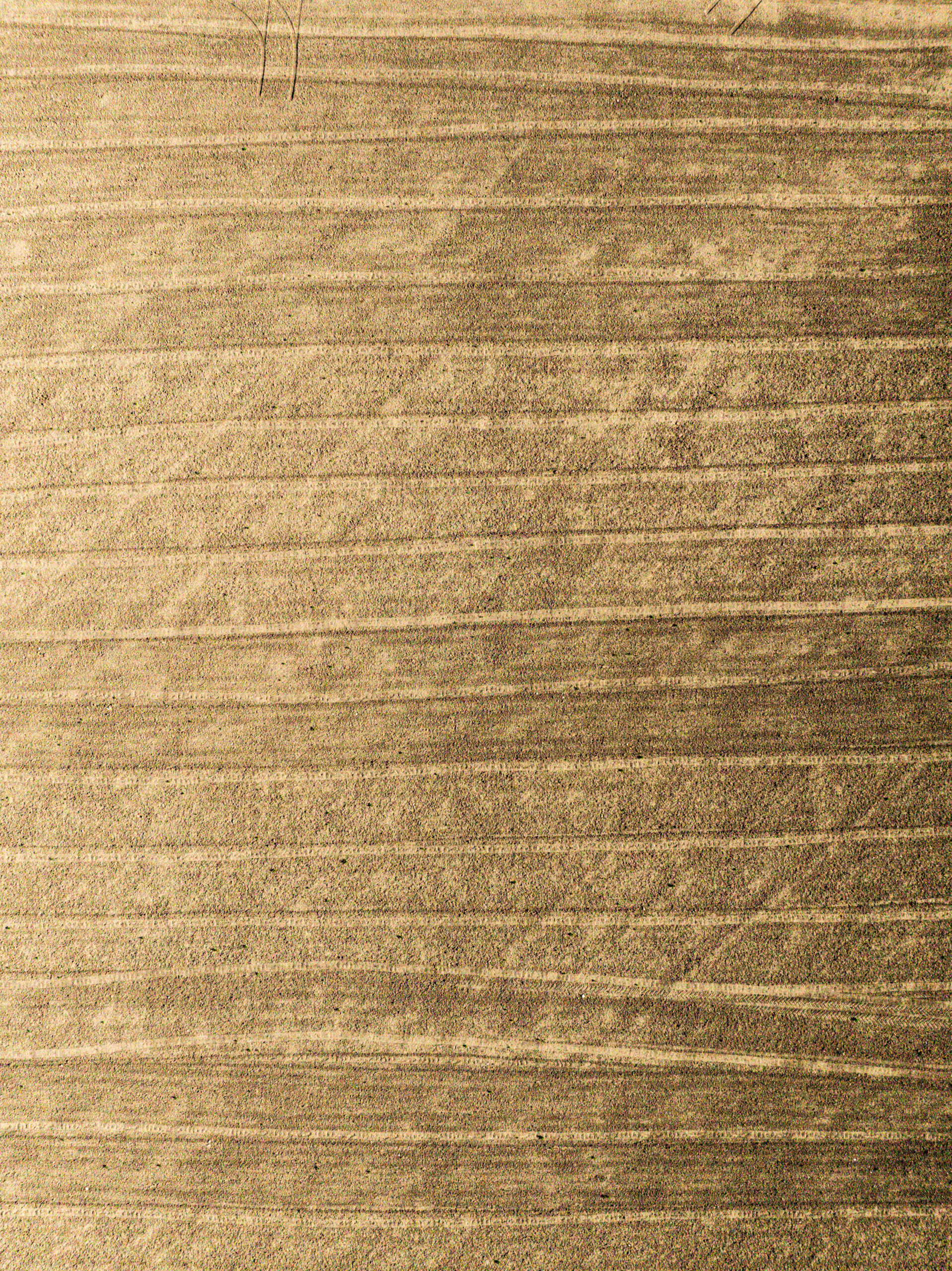Paprika-Studios-Woven-Arroyo-Grande-0151