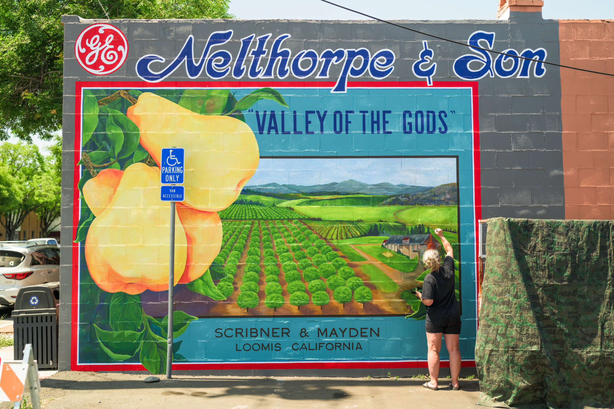 A person paints a mural on a wall that displays fruit, farmland, and the text “Valley of the Gods,” with a sign indicating handicapped parking nearby.