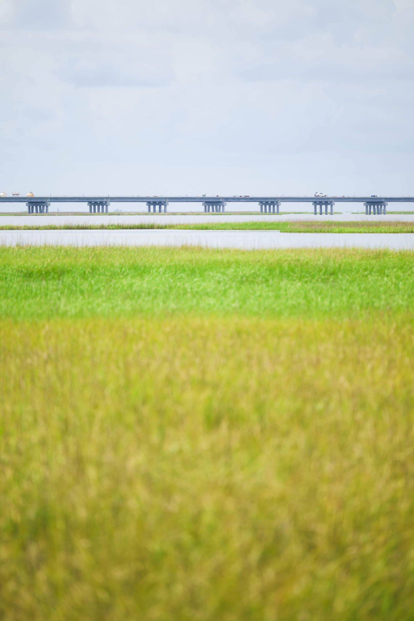 Paprika-Studios-Southlands-Gulf-Scenery-3822